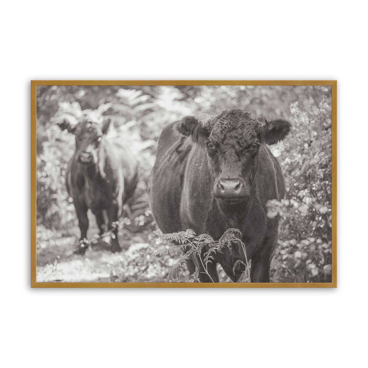 [Color:Polished Gold], Picture of art in a Polished Gold frame