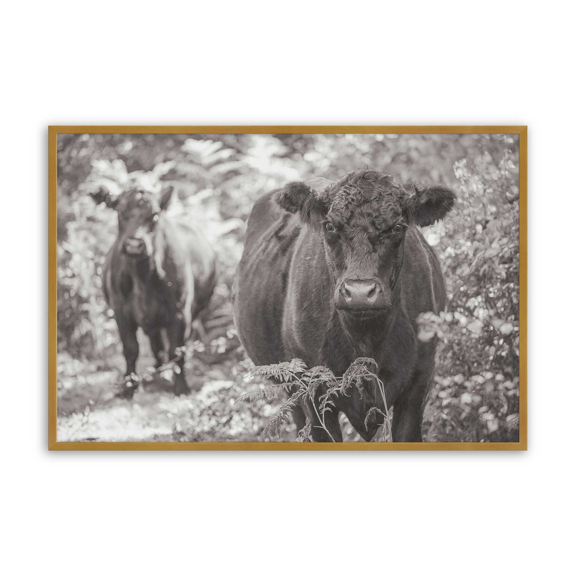 [Color:Polished Gold], Picture of art in a Polished Gold frame