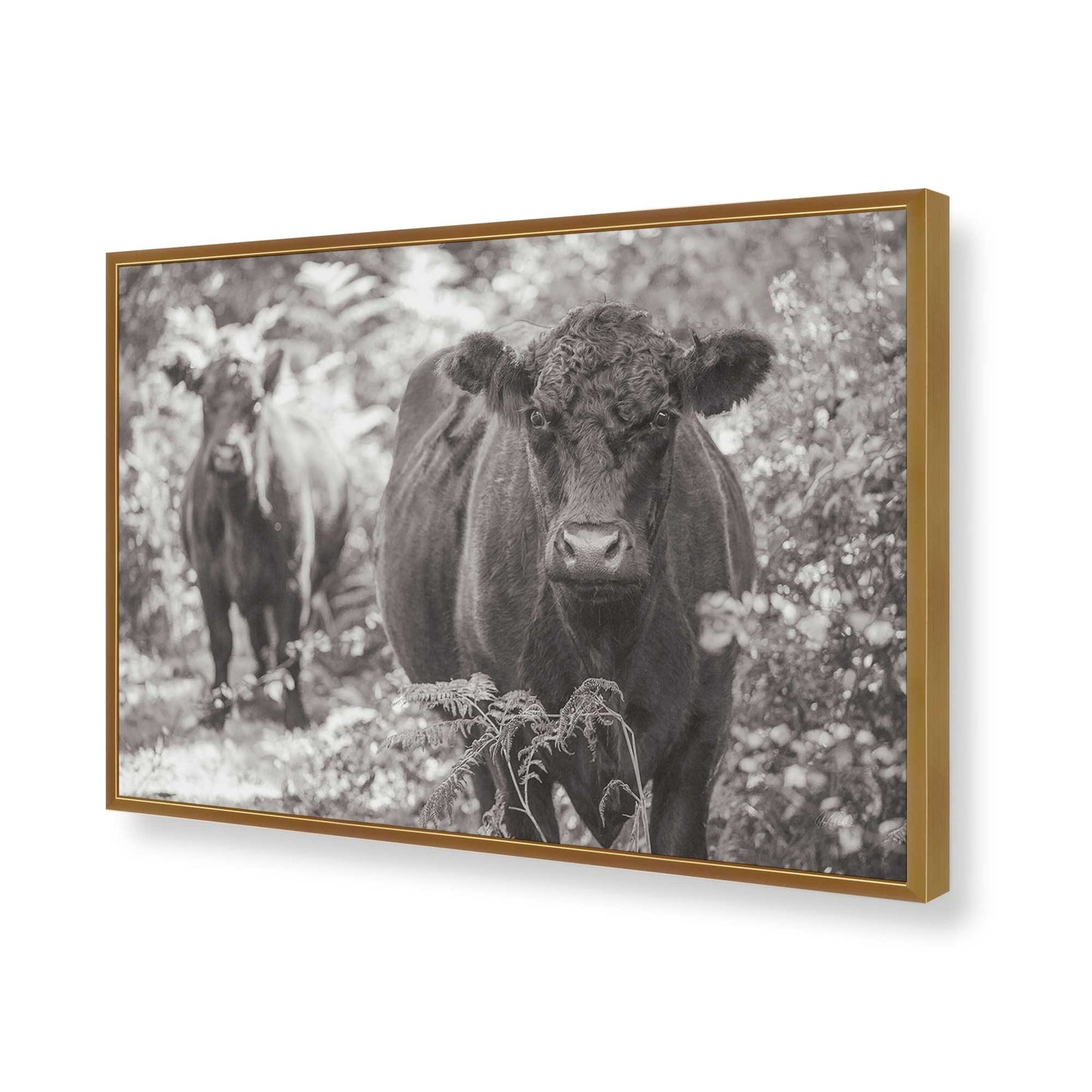 [Color:Polished Gold], Picture of art in a Polished Gold frame of the corner