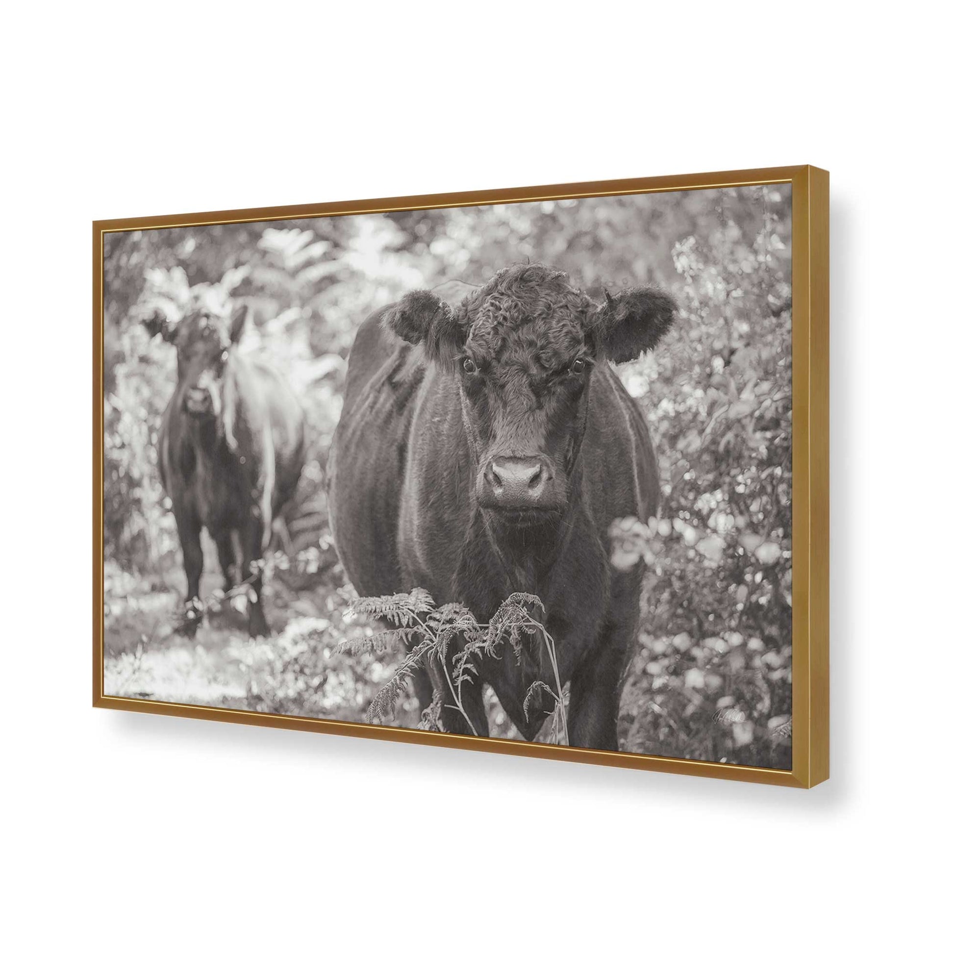 [Color:Polished Gold], Picture of art in a Polished Gold frame of the corner