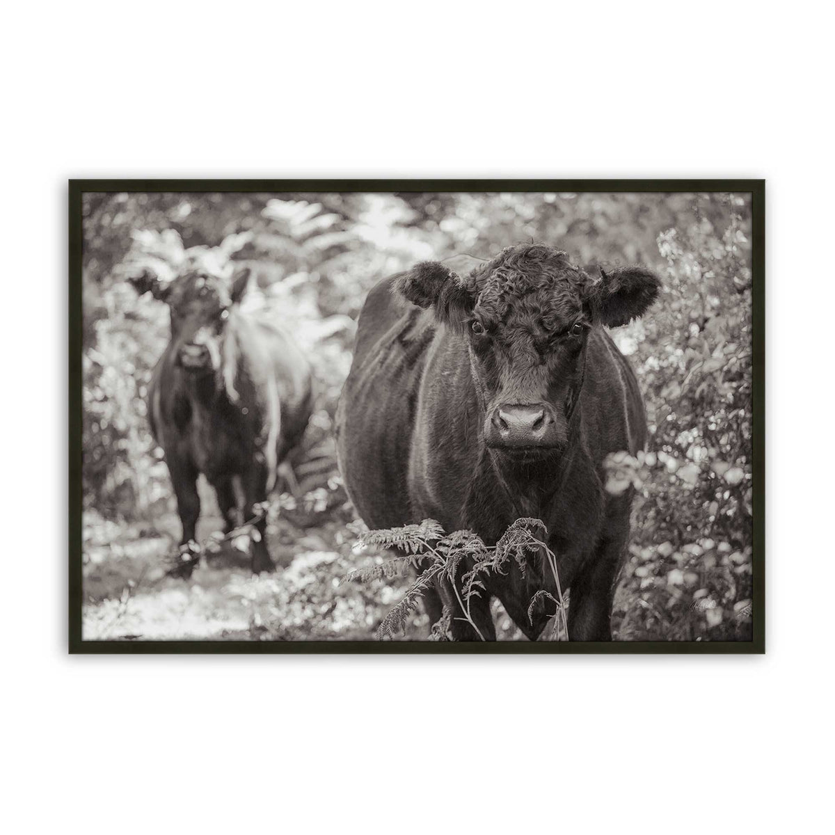 [Color:Satin Black], Picture of art in a Satin Black frame