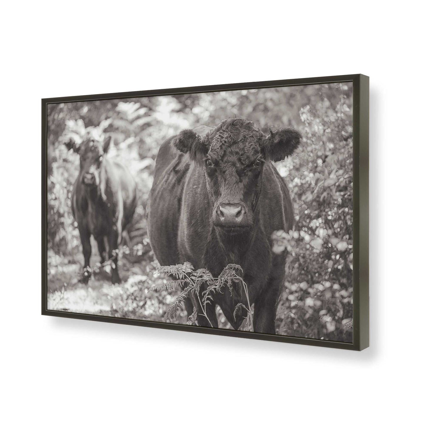 [Color:Satin Black], Picture of art in a Satin Black frame of the corner