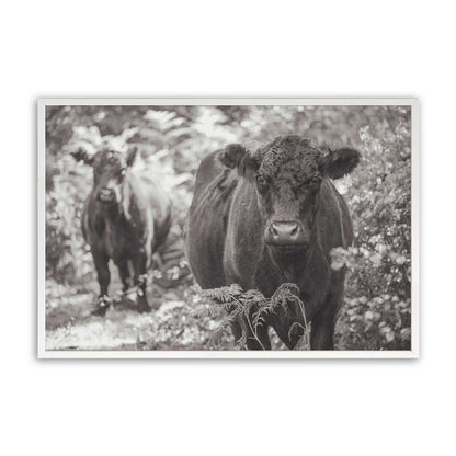 [Color:Opaque White], Picture of art in a Opaque White frame