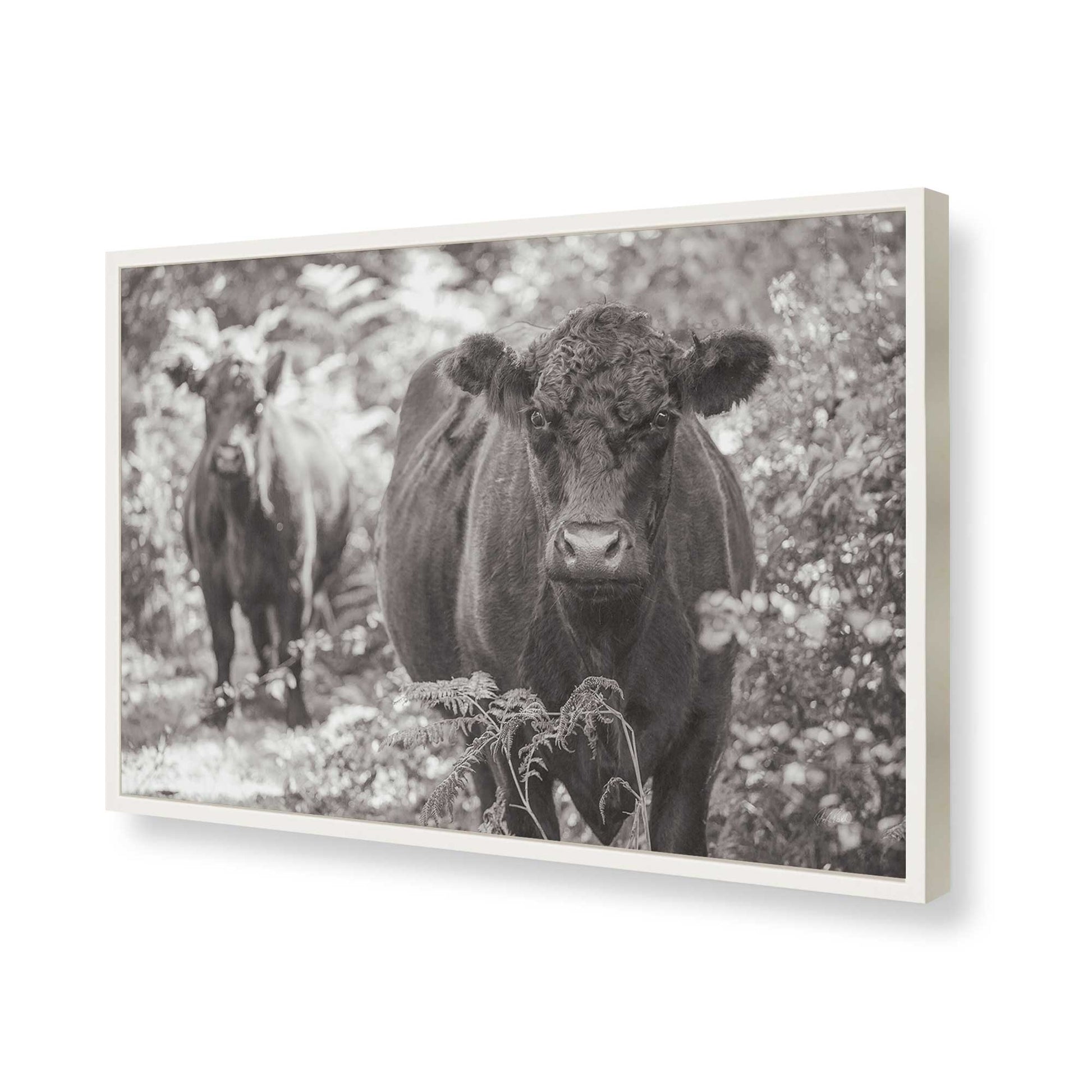 [Color:Opaque White], Picture of art in a Opaque White frame of the corner