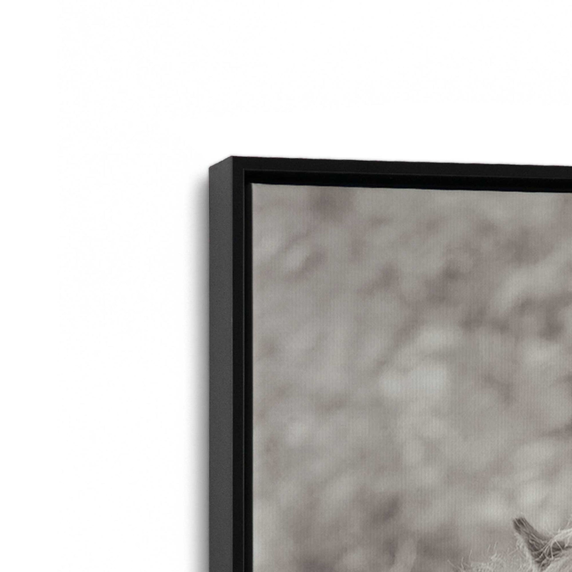 [Color:Satin Black], Picture of art in a Satin Black frame at an angle