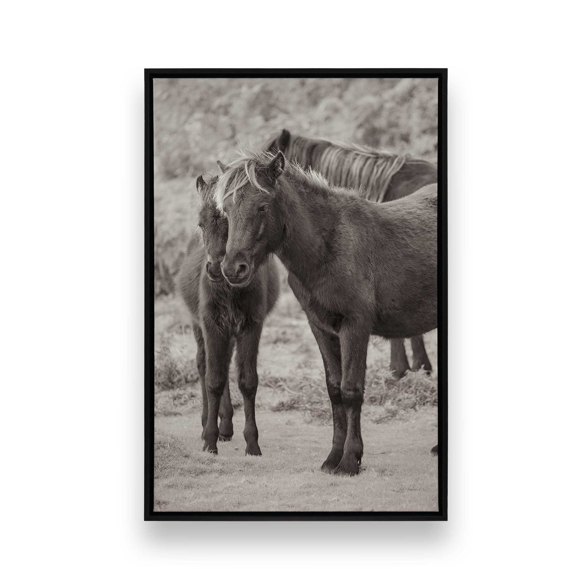 [Color:Satin Black], Picture of art in a Satin Black frame