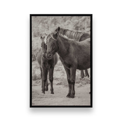 [Color:Satin Black], Picture of art in a Satin Black frame