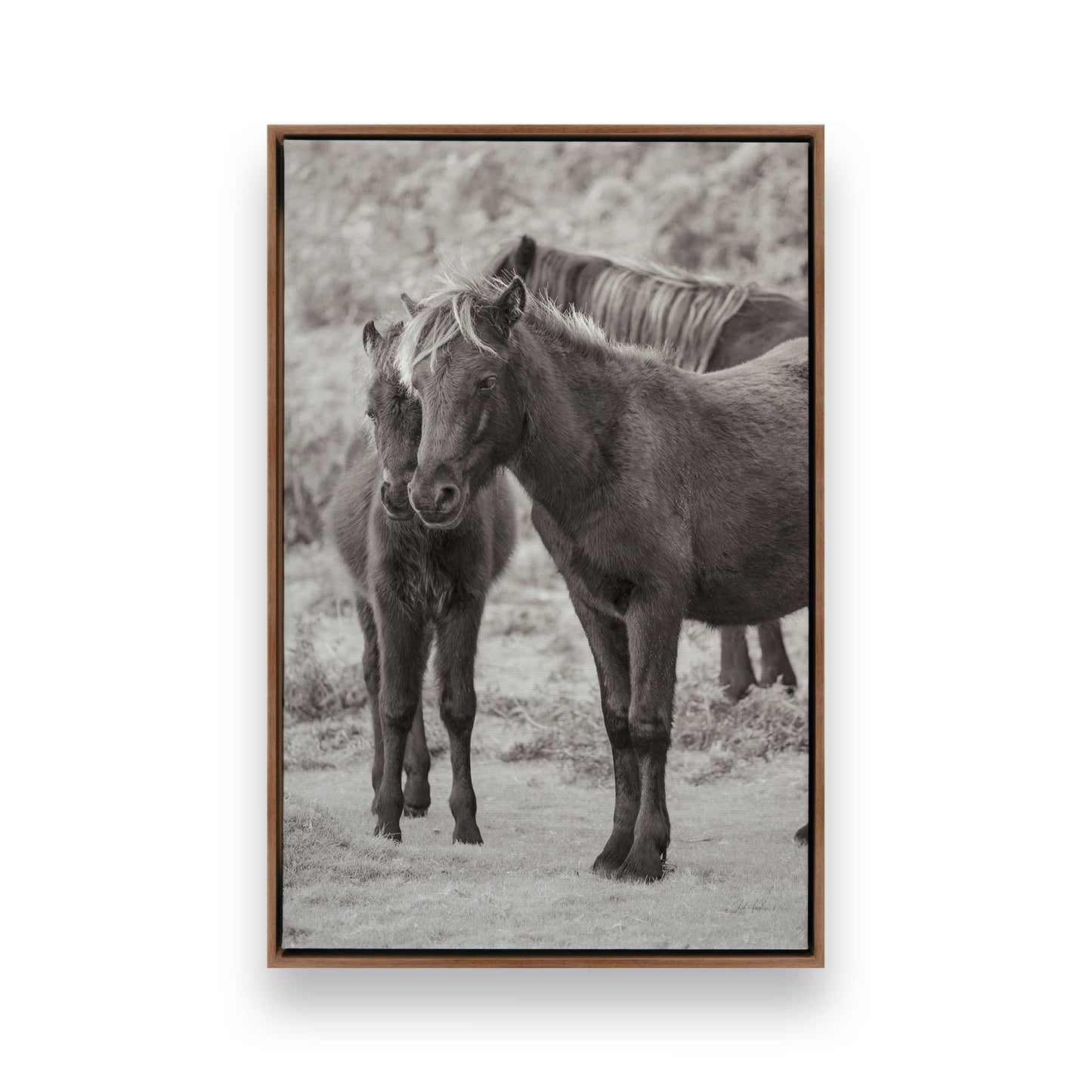 [Color:Walnut], Picture of art in a Walnut frame