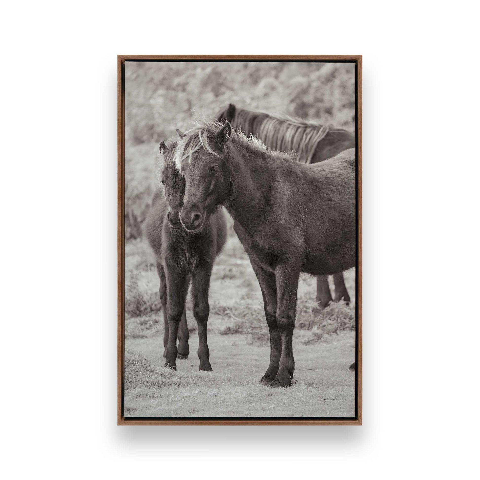 [Color:Walnut], Picture of art in a Walnut frame