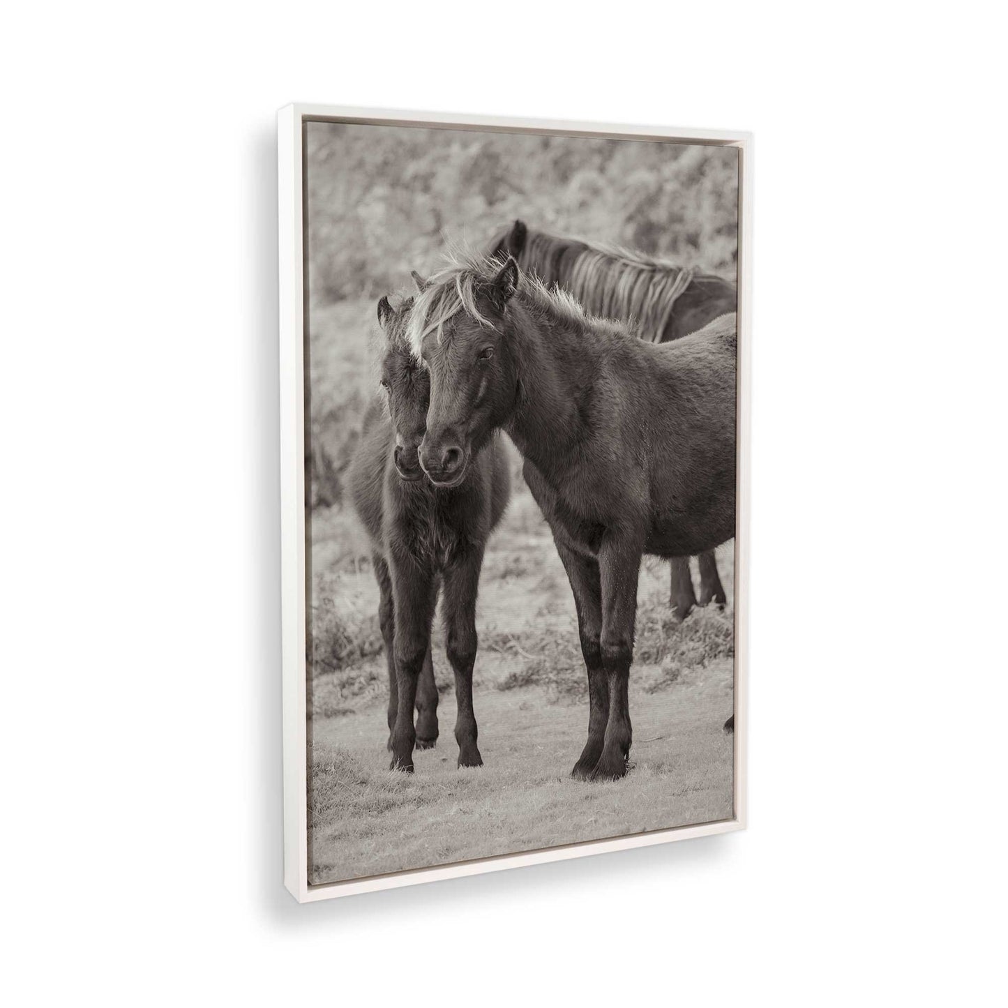 [Color:Opaque White], Picture of the corner of the art