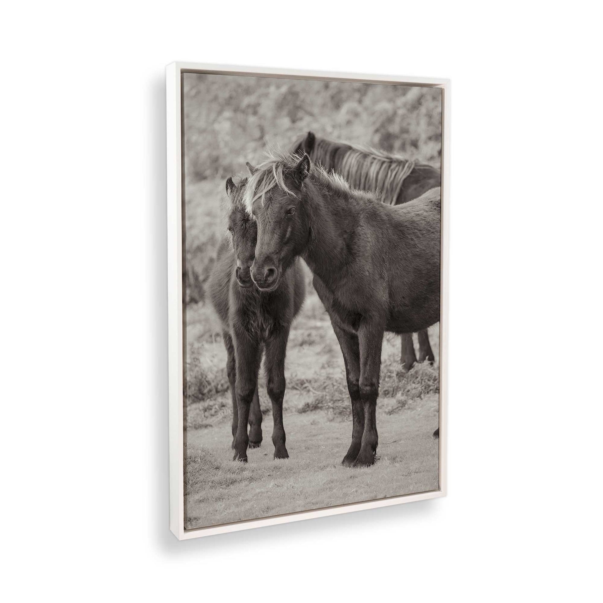 [Color:Opaque White], Picture of the corner of the art