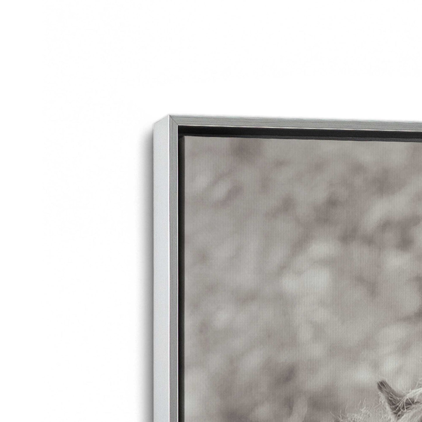 [Color:Polished Chrome], Picture of art in a Polished Chrome frame at an angle