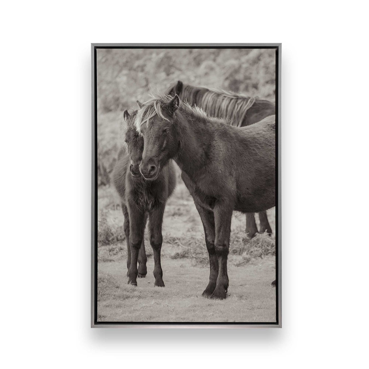 [Color:Polished Chrome], Picture of art in a Polished Chrome frame