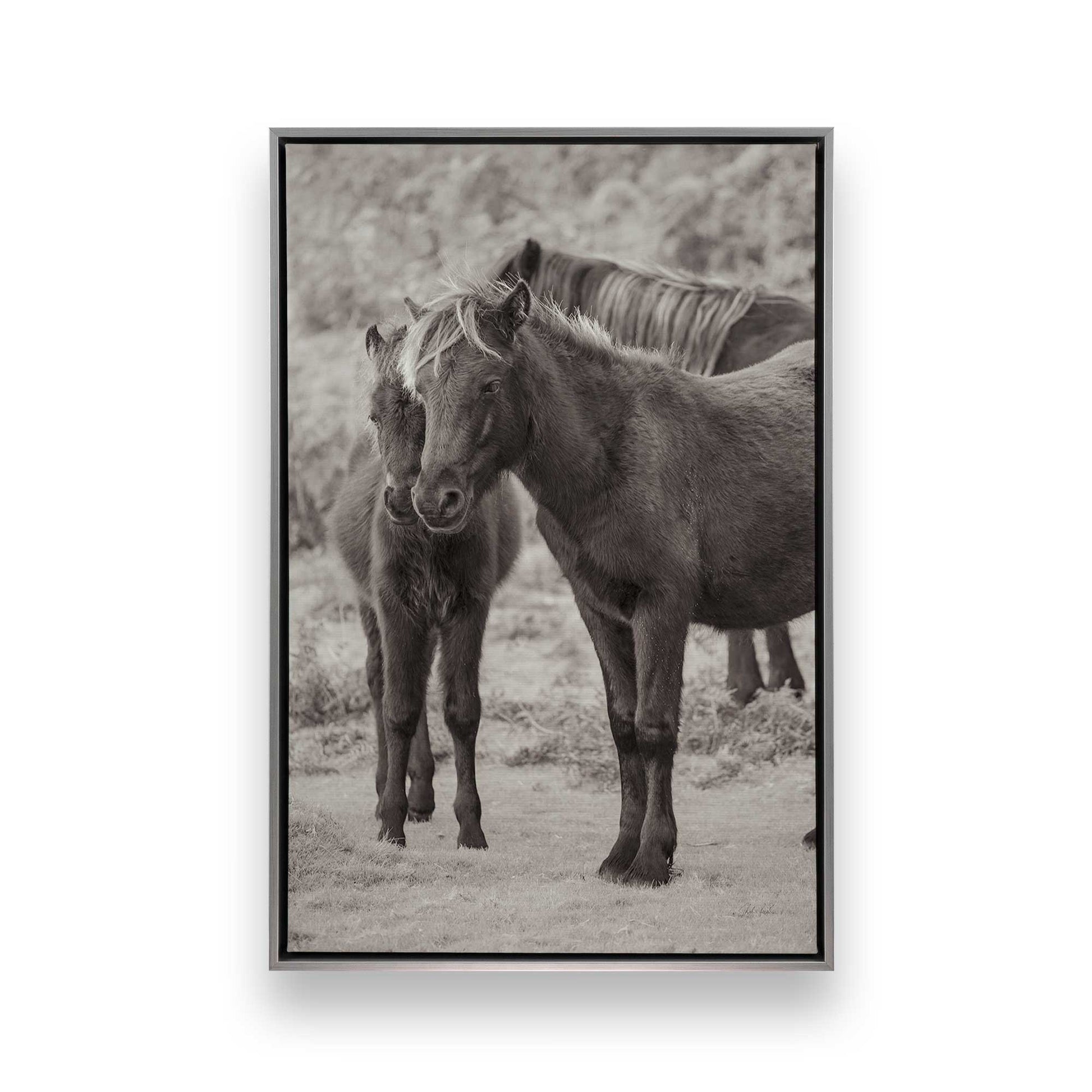 [Color:Polished Chrome], Picture of art in a Polished Chrome frame