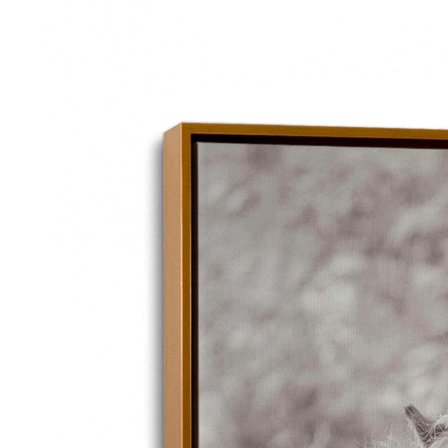 [Color:Polished Gold], Picture of art in a Polished Gold frame at an angle