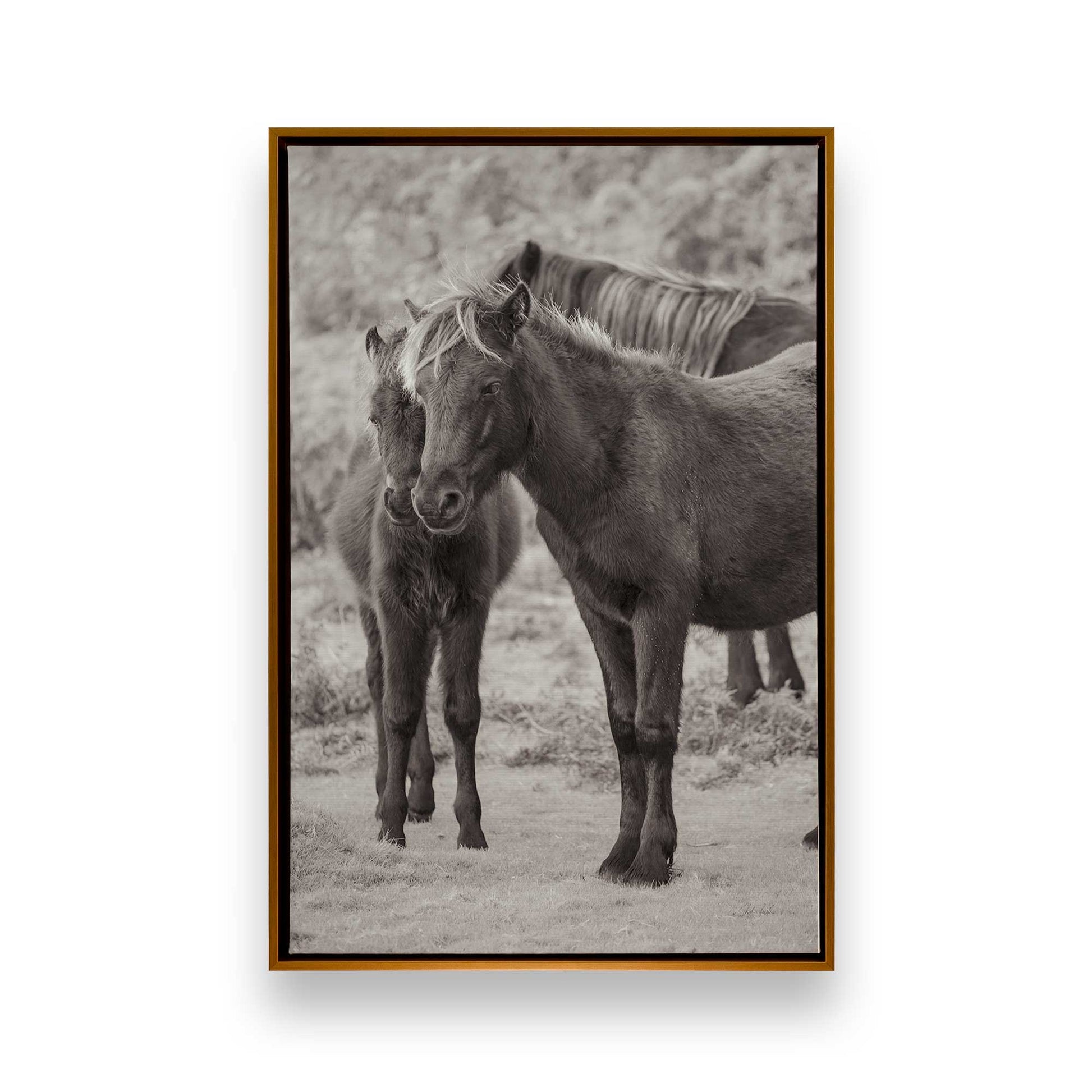 [Color:Polished Gold], Picture of art in a Polished Gold frame