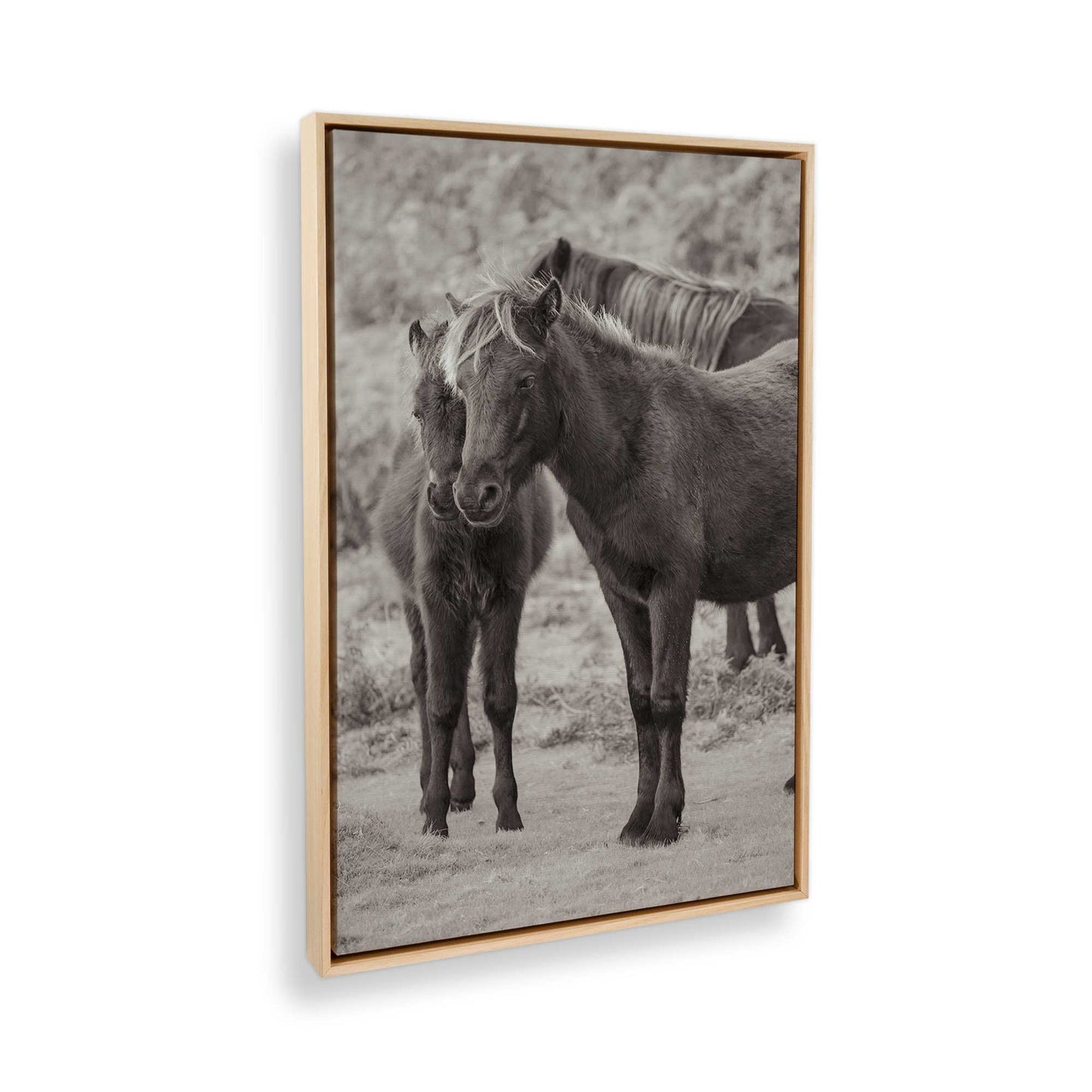 [Color:American Maple], Picture of the corner of the art