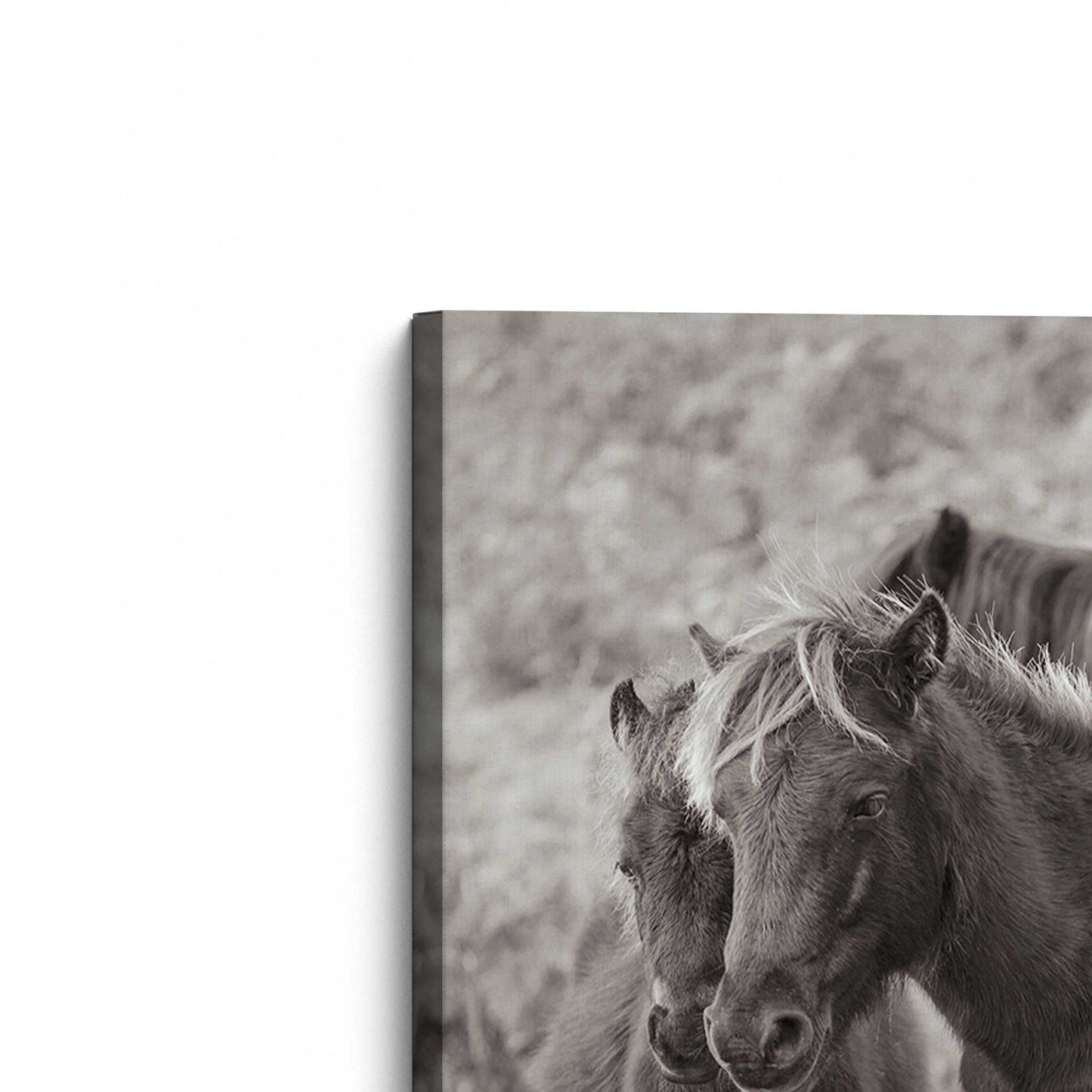 [Color:Stretched Canvas], Picture of the corner of the art