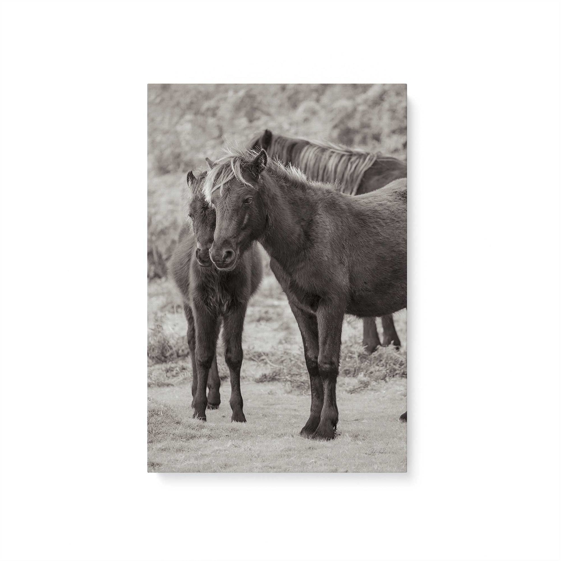 [Color:Stretched Canvas], Picture of art