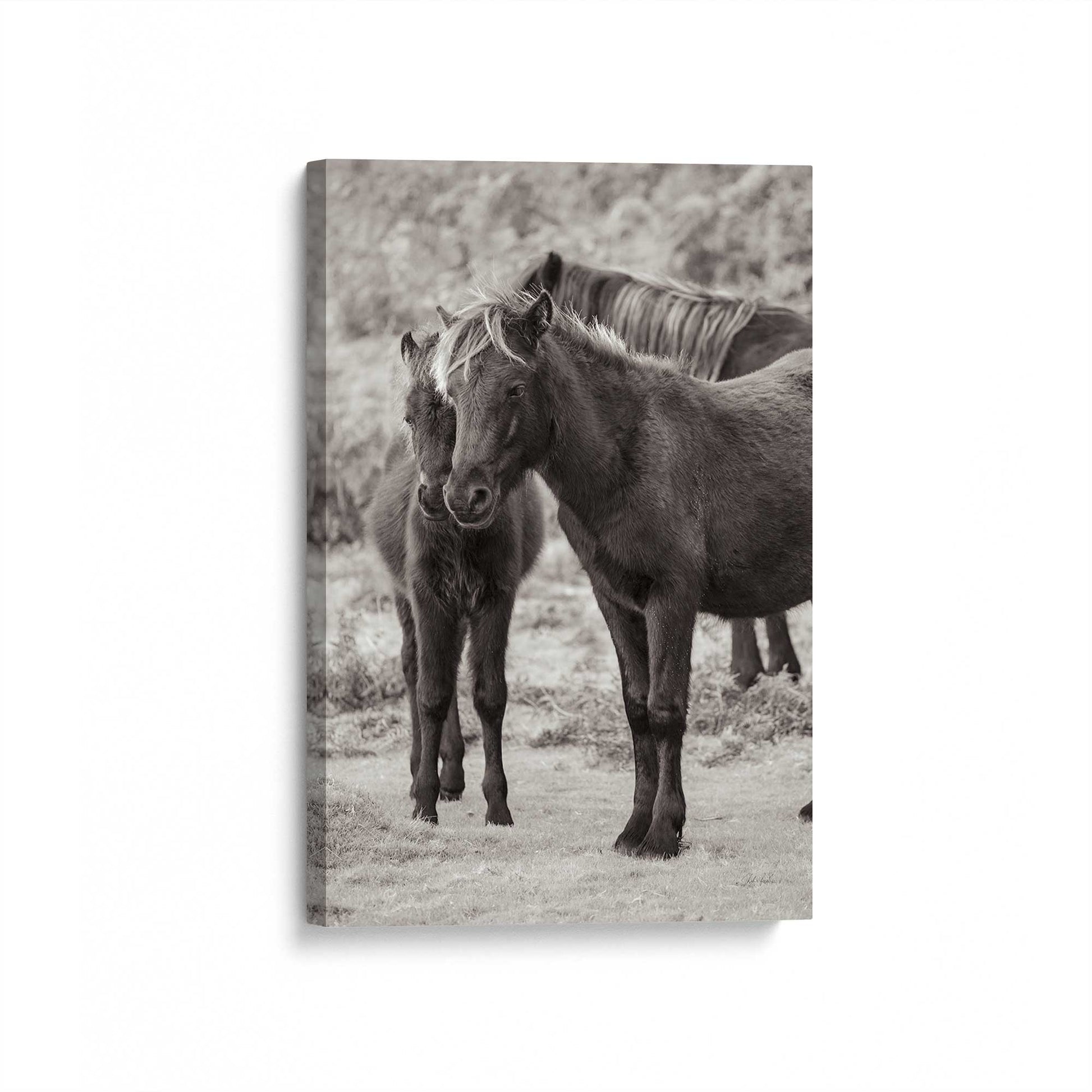 [Color:Stretched Canvas], Picture of art at an angle