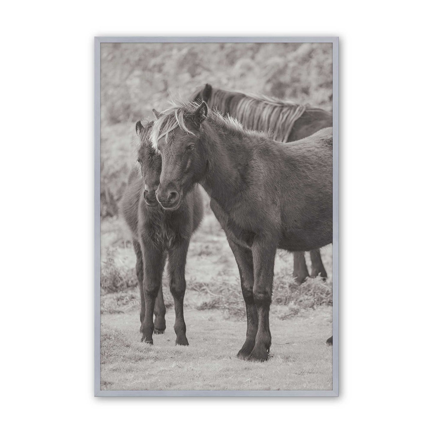 [Color:Polished Chrome], Picture of art in a Polished Chrome frame