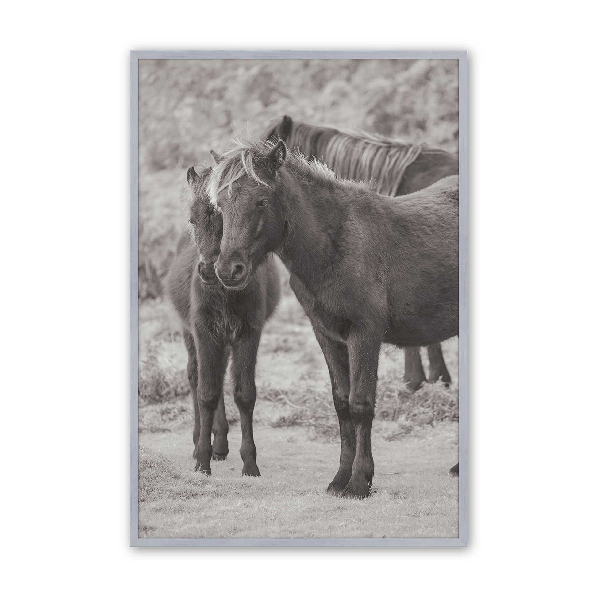[Color:Polished Chrome], Picture of art in a Polished Chrome frame