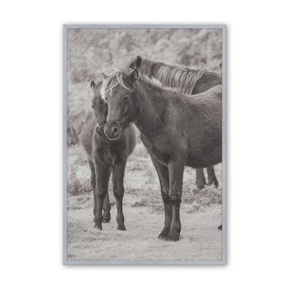 [Color:Polished Chrome], Picture of art in a Polished Chrome frame
