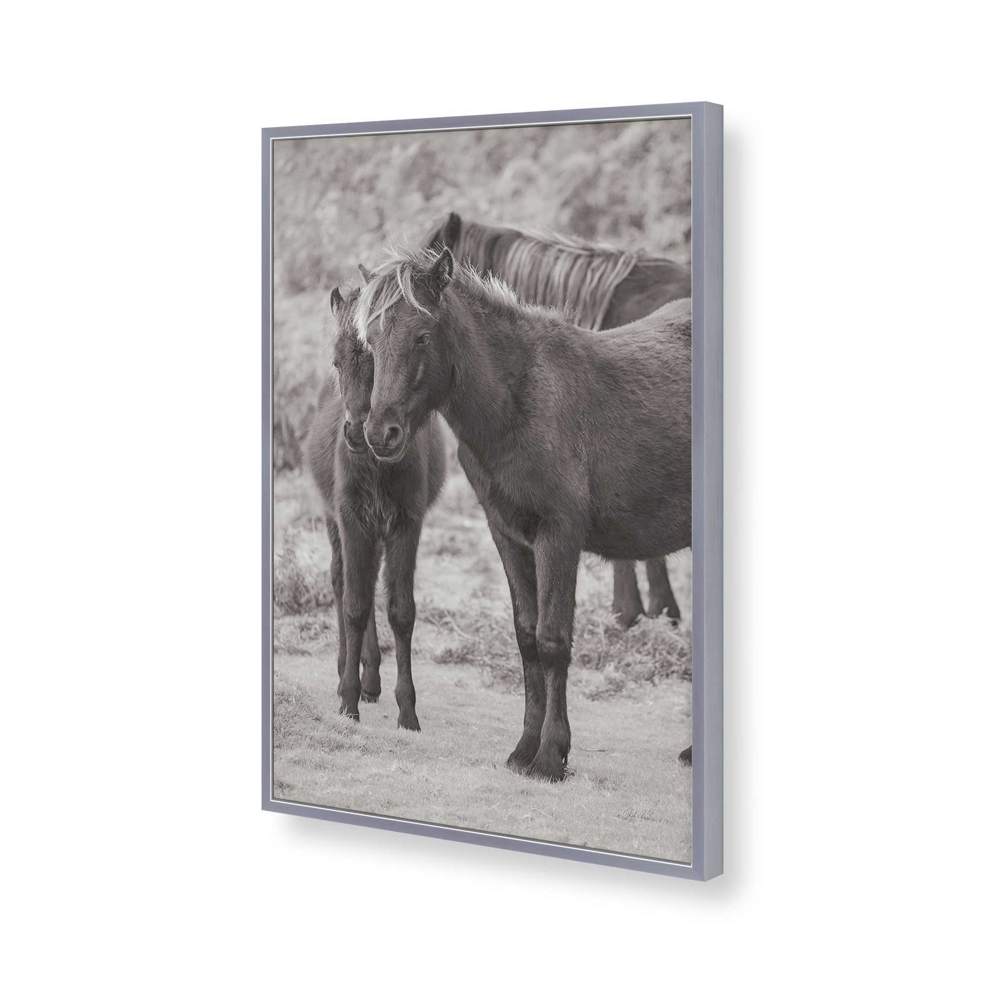 [Color:Polished Chrome], Picture of art in a Polished Chrome frame of the corner