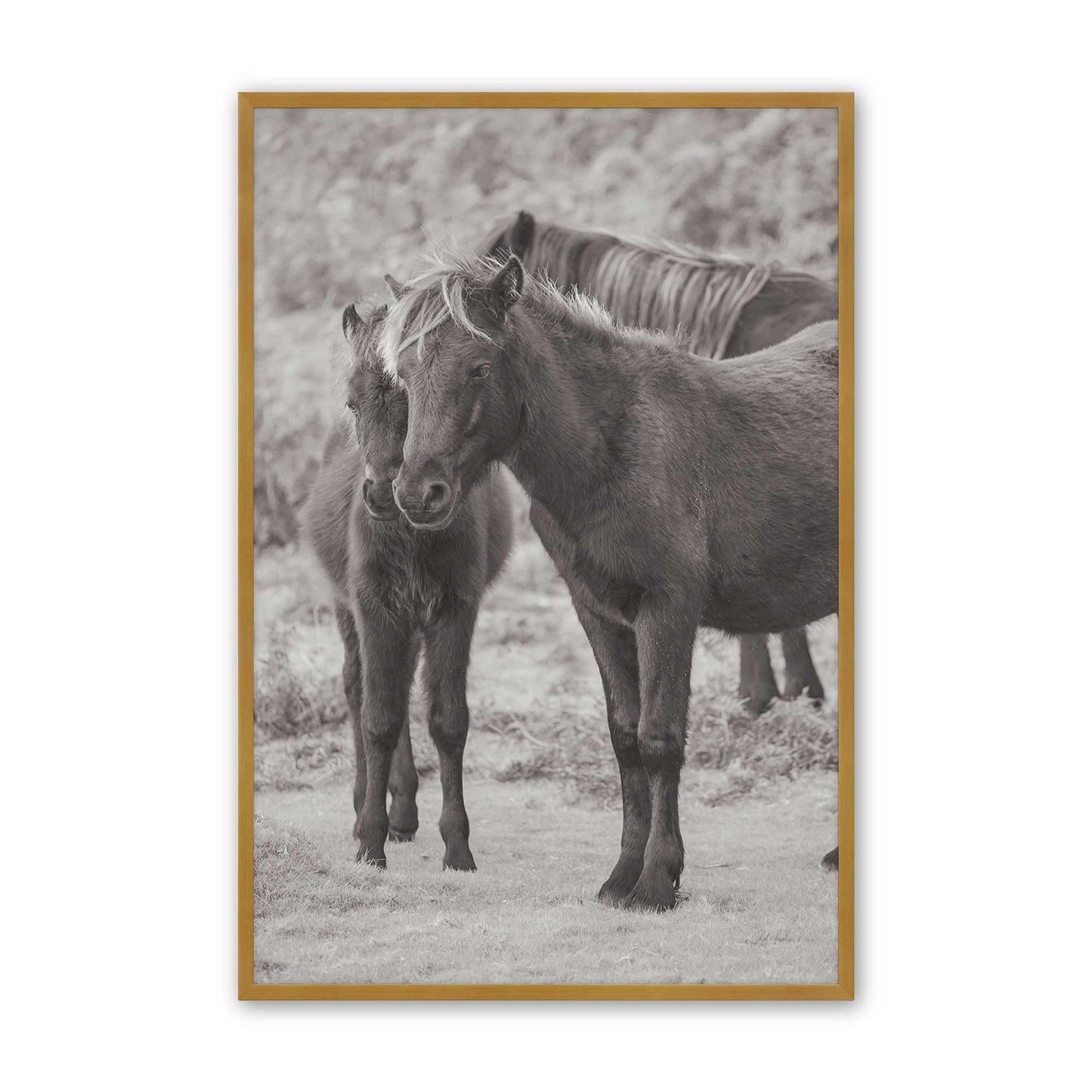 [Color:Polished Gold], Picture of art in a Polished Gold frame
