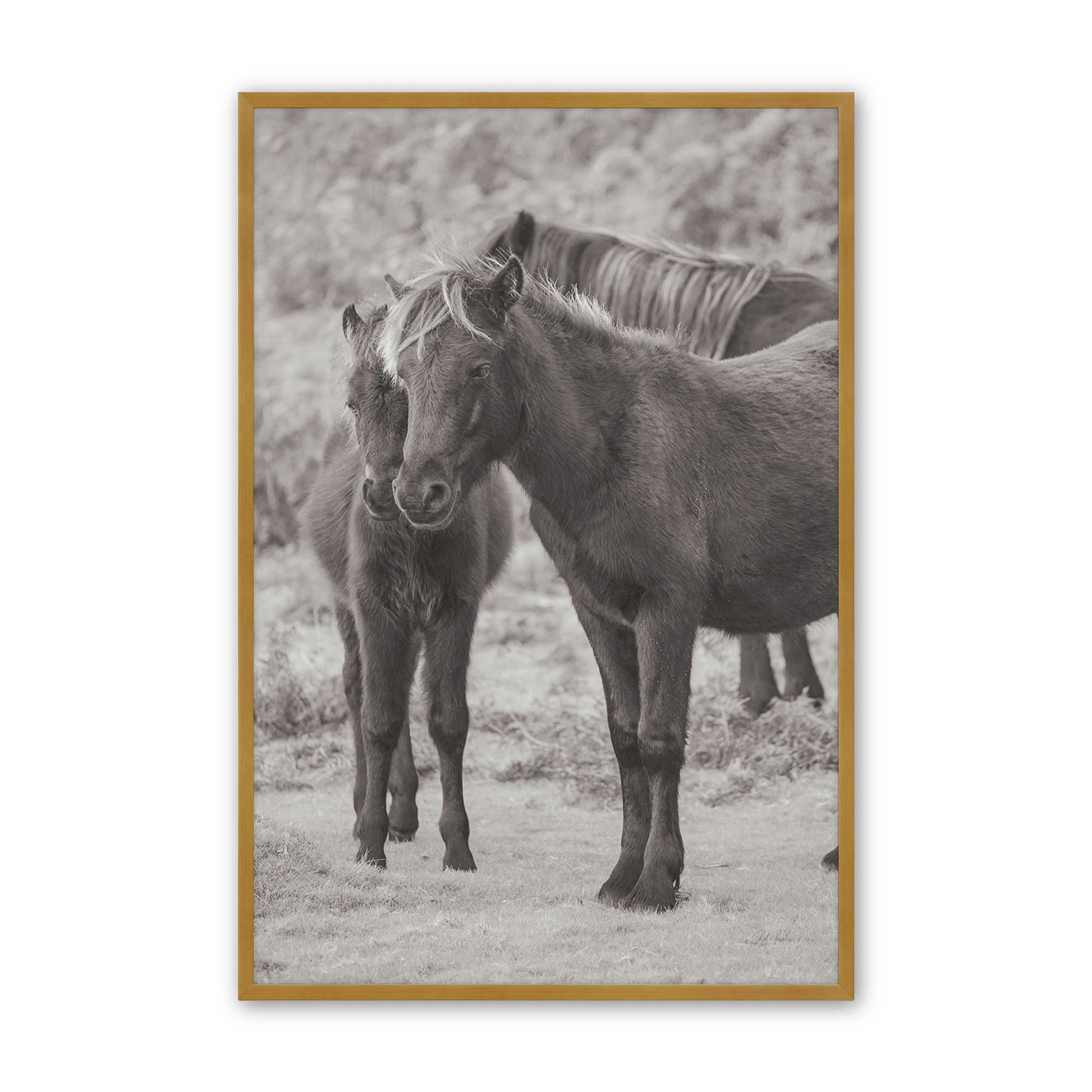 [Color:Polished Gold], Picture of art in a Polished Gold frame