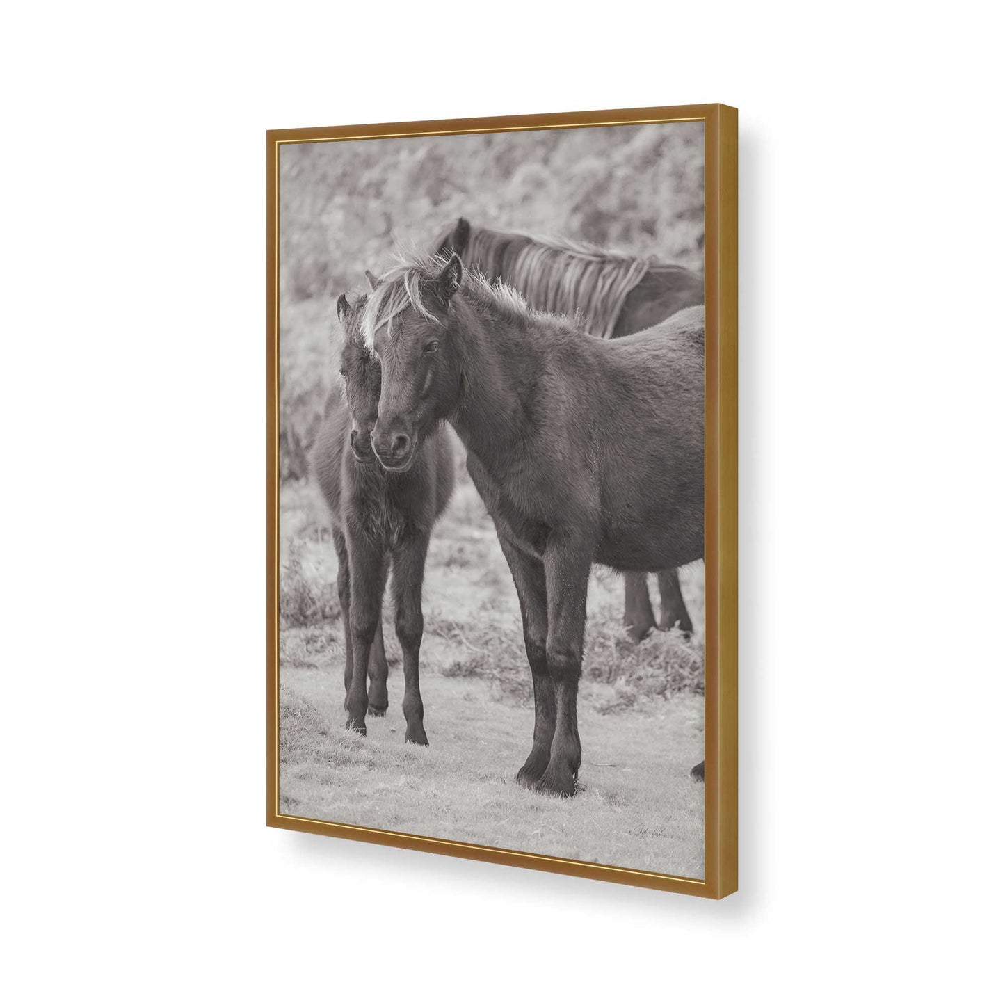 [Color:Polished Gold], Picture of art in a Polished Gold frame of the corner