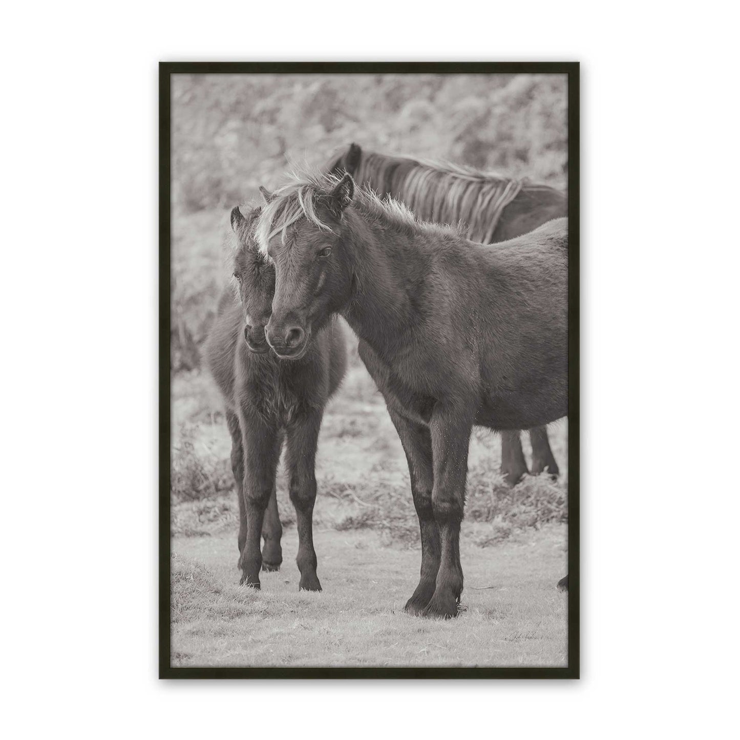 [Color:Satin Black], Picture of art in a Satin Black frame
