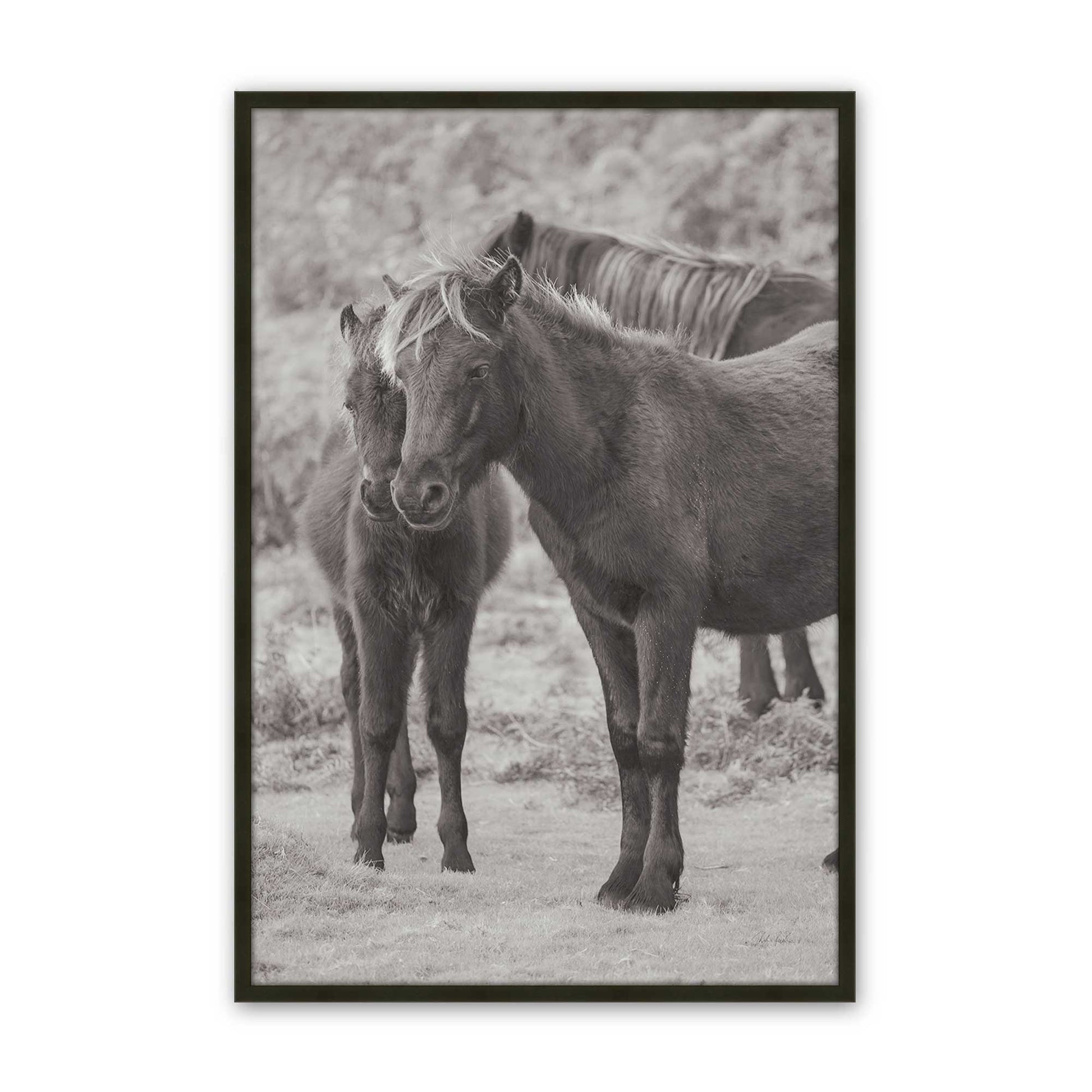 [Color:Satin Black], Picture of art in a Satin Black frame