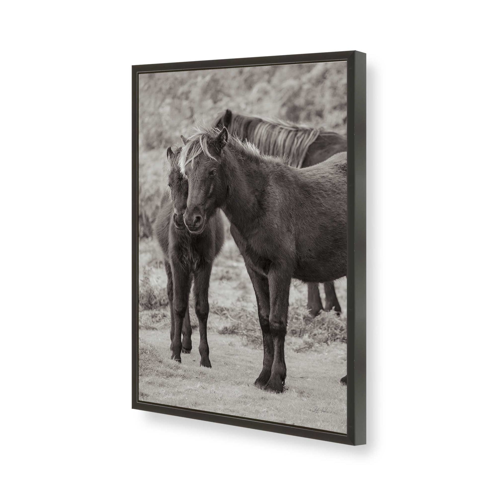[Color:Satin Black], Picture of art in a Satin Black frame of the corner