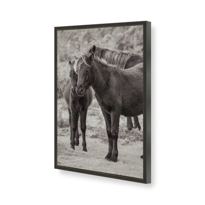 [Color:Satin Black], Picture of art in a Satin Black frame of the corner