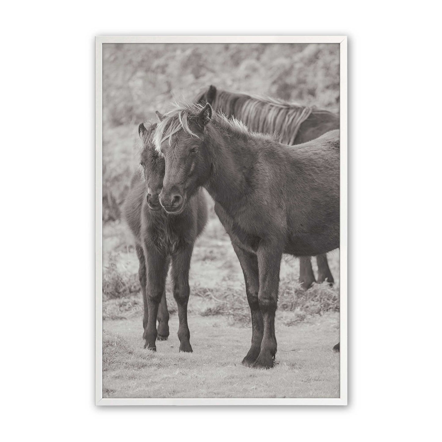 [Color:Opaque White], Picture of art in a Opaque White frame