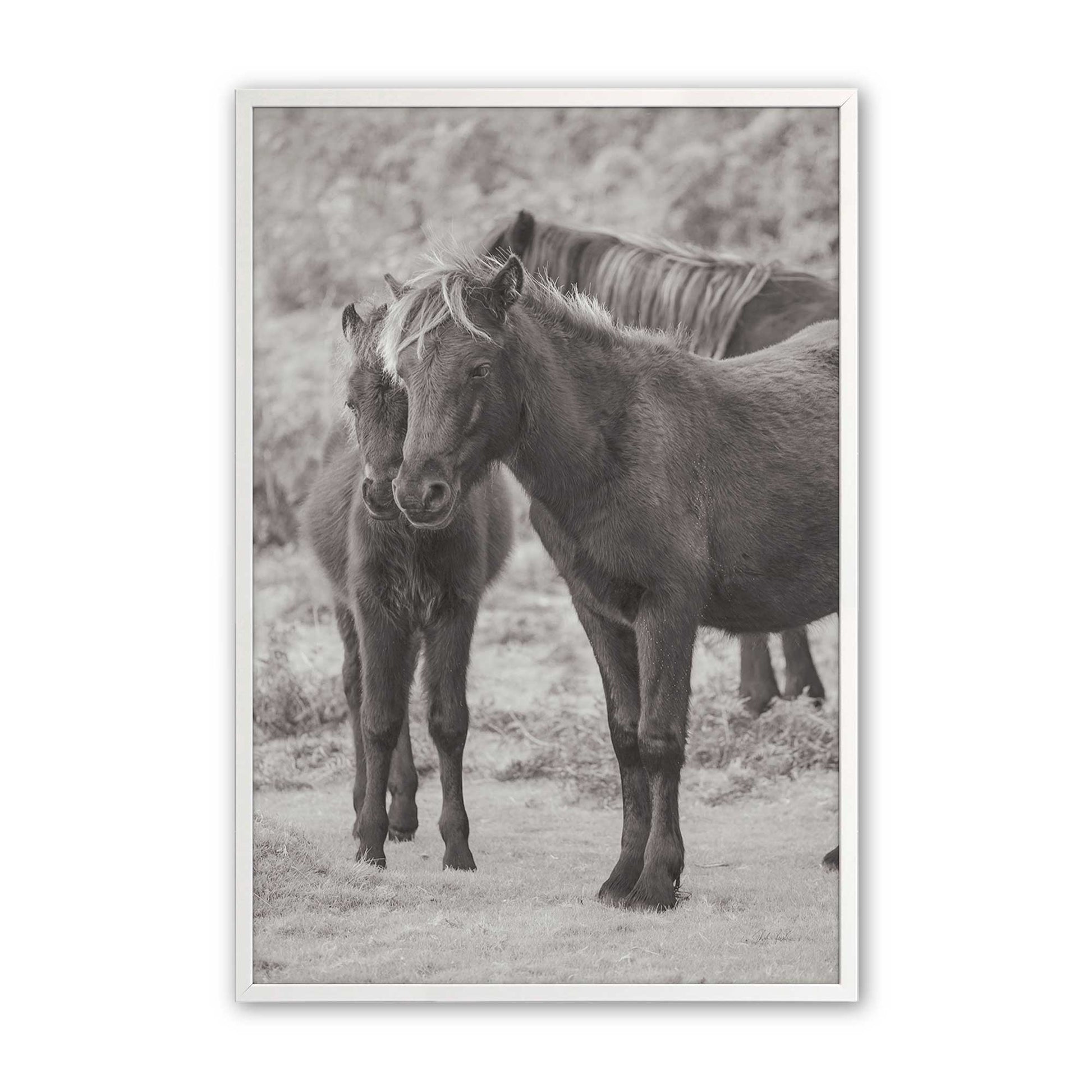[Color:Opaque White], Picture of art in a Opaque White frame
