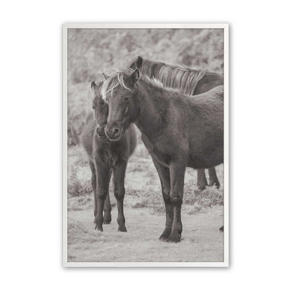 [Color:Opaque White], Picture of art in a Opaque White frame