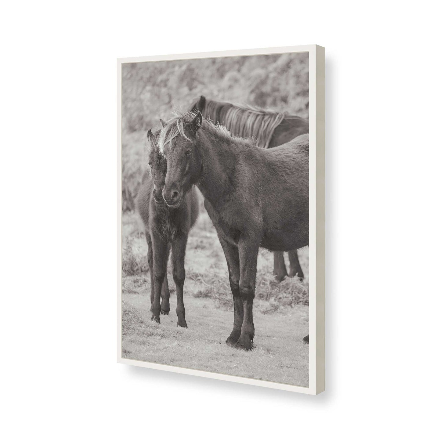 [Color:Opaque White], Picture of art in a Opaque White frame of the corner