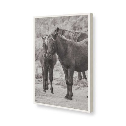 [Color:Opaque White], Picture of art in a Opaque White frame of the corner