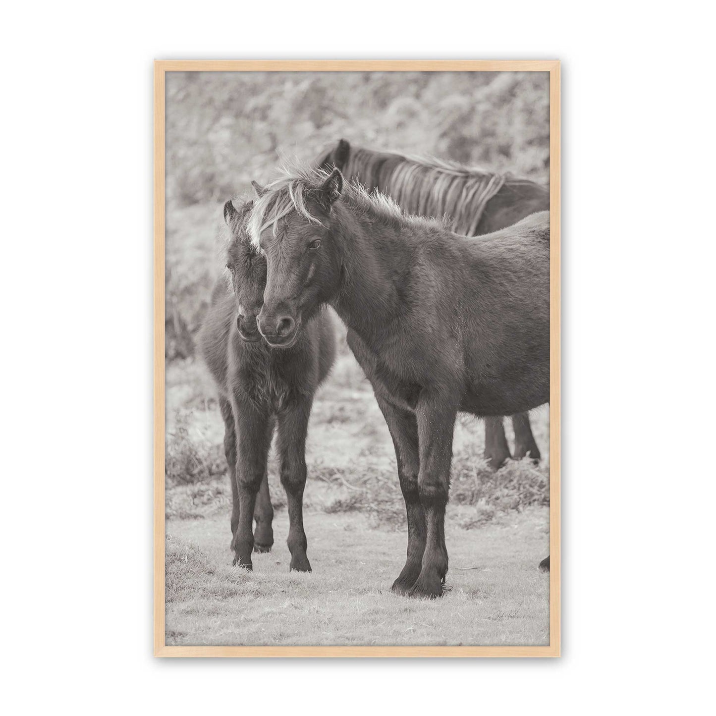 [Color:Raw Maple], Picture of art in a Raw Maple frame