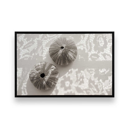 [Color:Satin Black], Front of the art