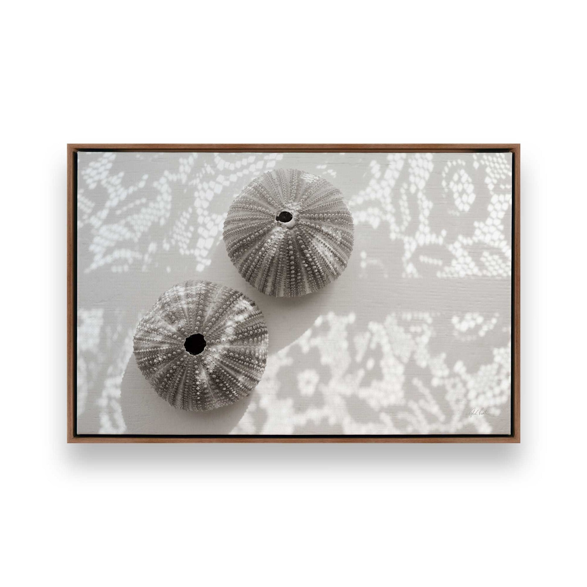 [Color:Walnut], Picture of art in a Walnut frame