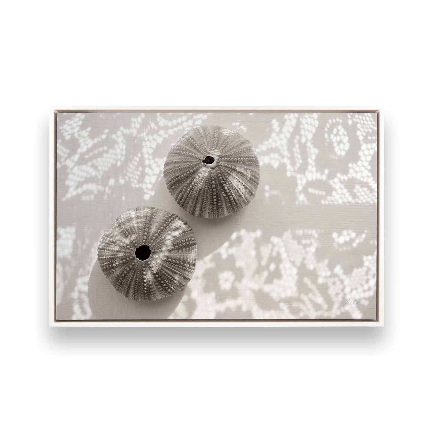 [Color:Opaque White], Picture of art in a White frame