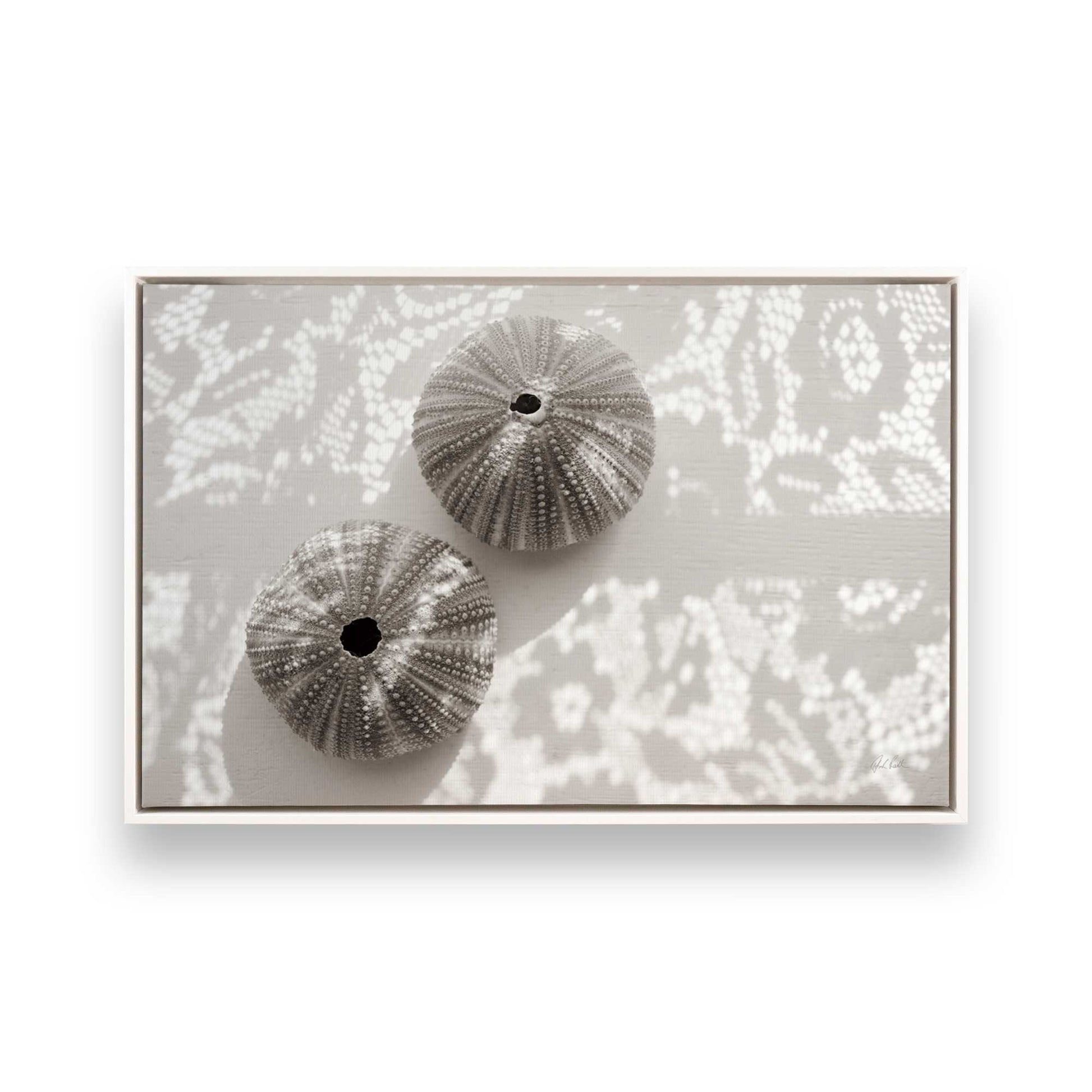 [Color:Opaque White], Picture of art in a White frame