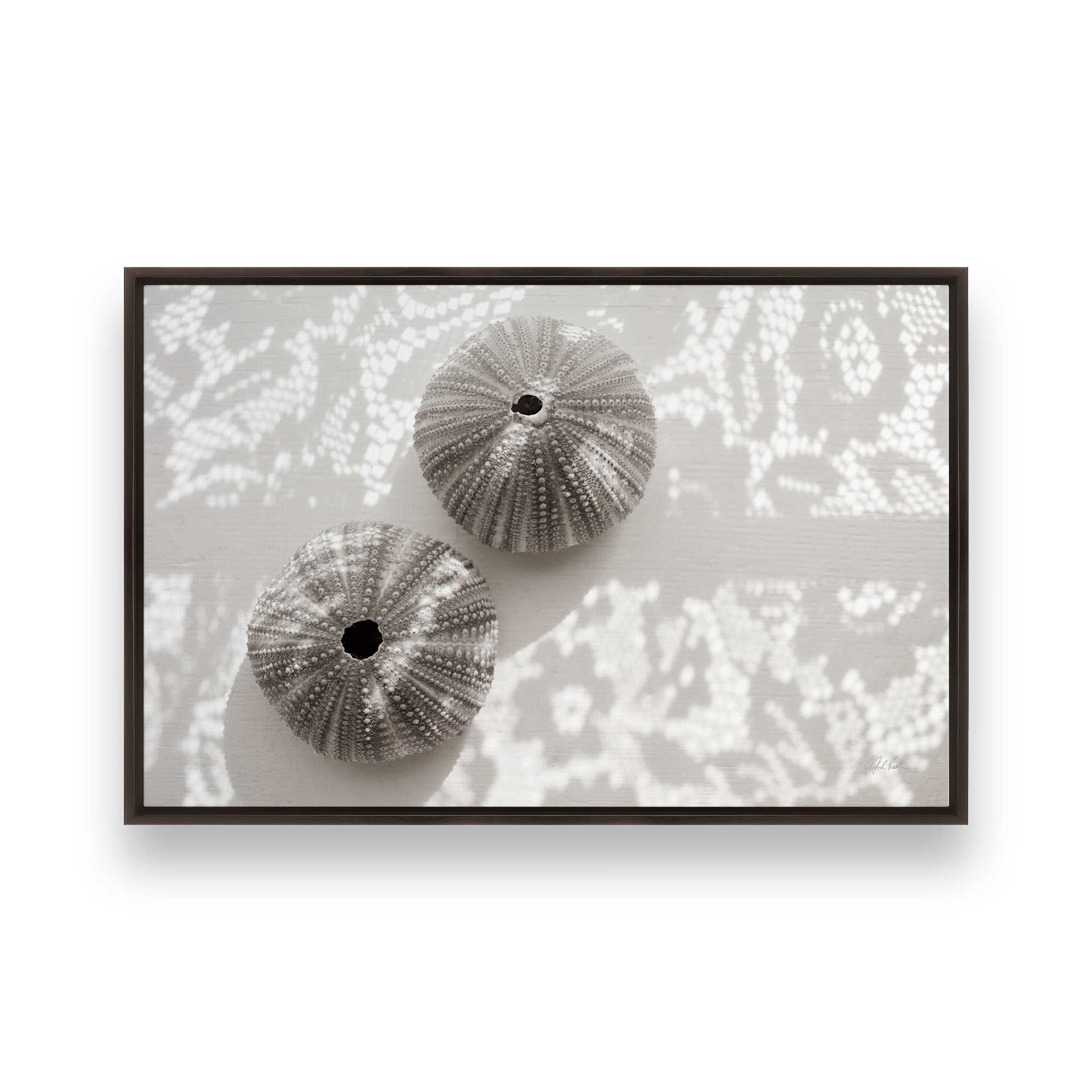 [Color:Espresso], Picture of art in a Espresso frame