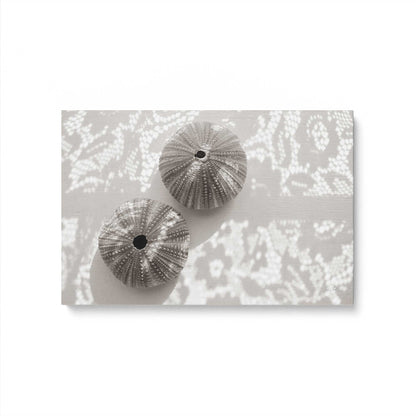 [Color:Stretched Canvas], Picture of art