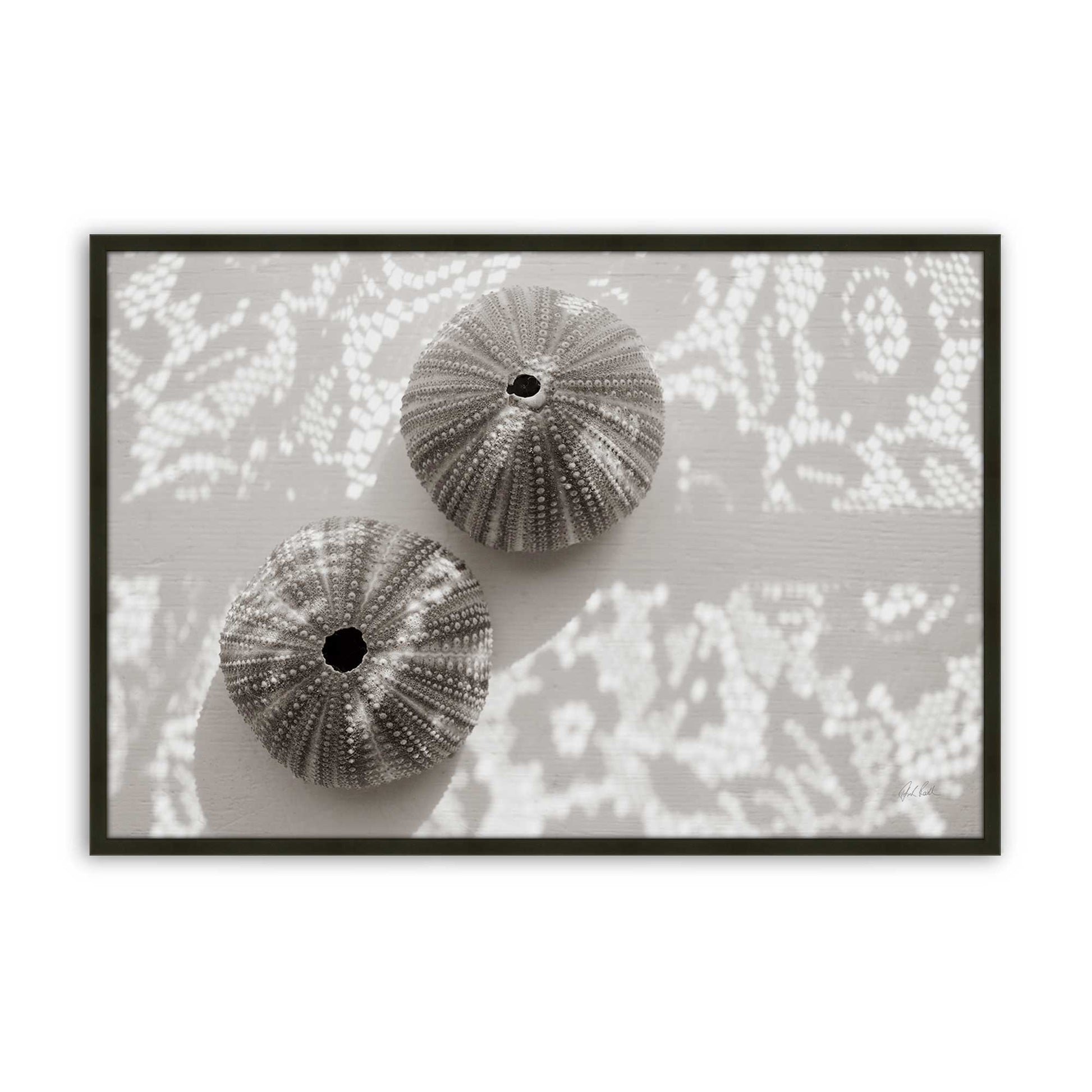 [Color:Satin Black], Picture of art in a Satin Black frame