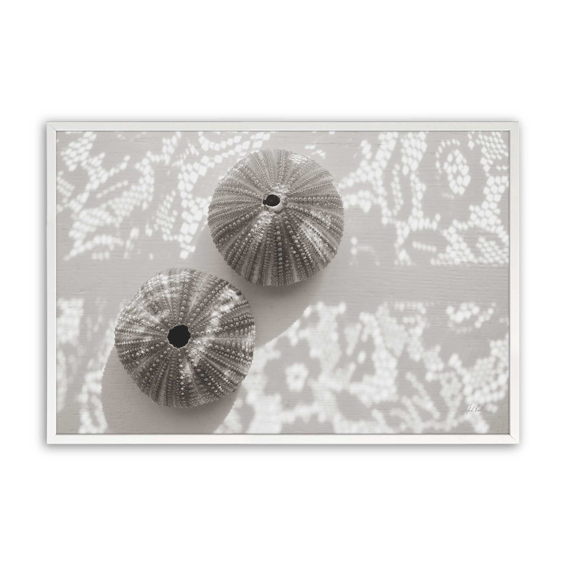 [Color:Opaque White], Picture of art in a Opaque White frame