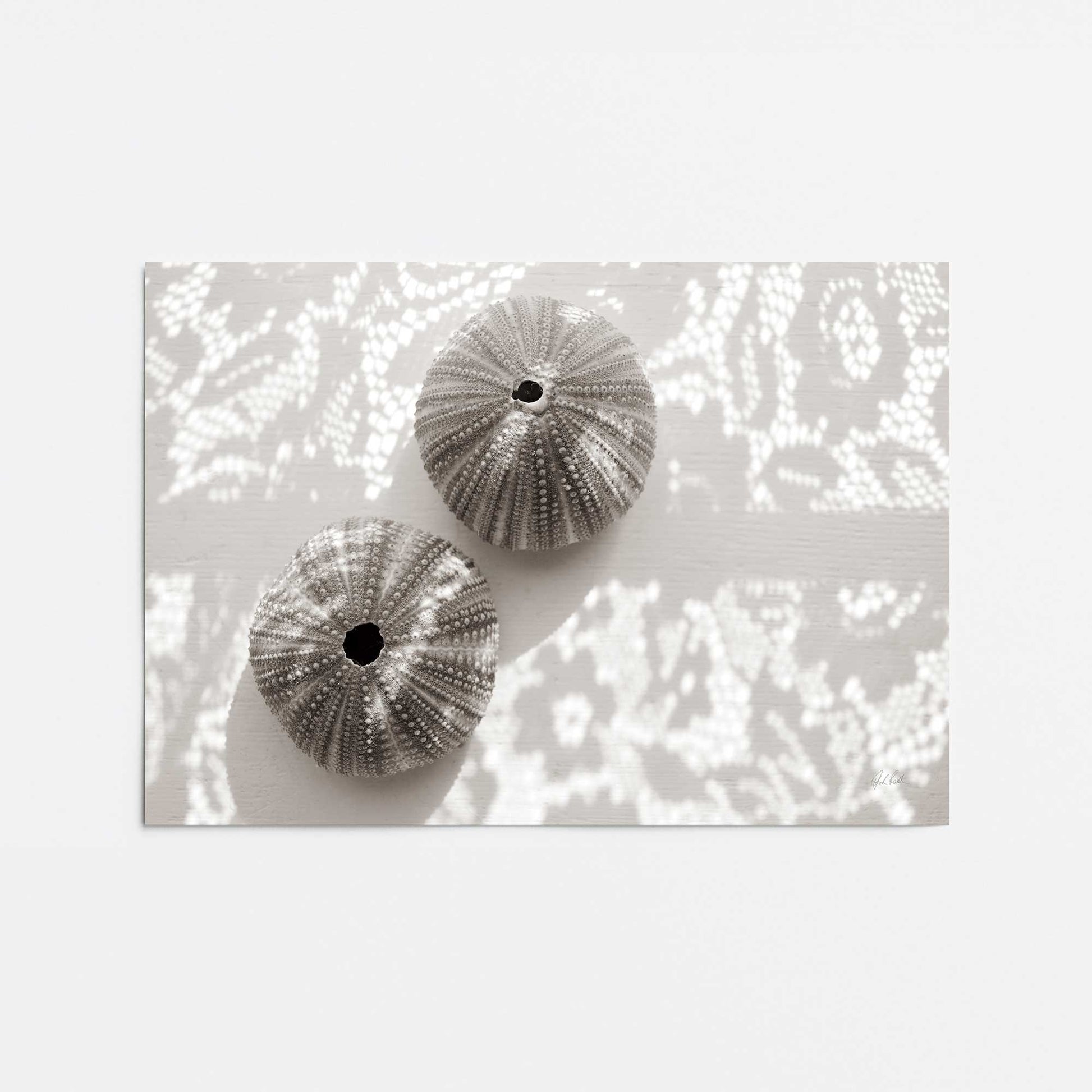 [Color:Rolled Print], Picture of close up of art